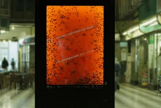 Controversial Advert in Lucerna Passage Features Dying Flies