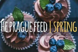 The Prague Feed: Spring 2016 Edition