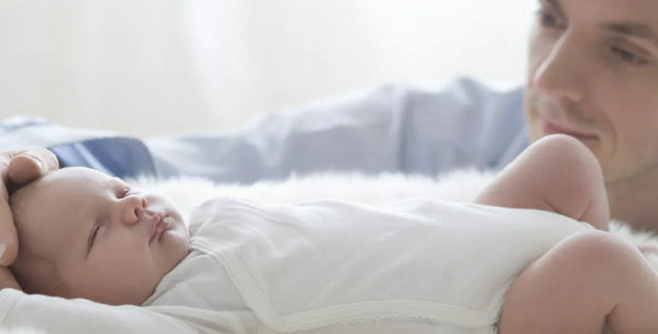 Czech Government Approves Paternity Leave