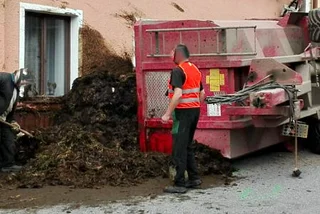 Tractor Dumps Manure Into Czech Family's Home