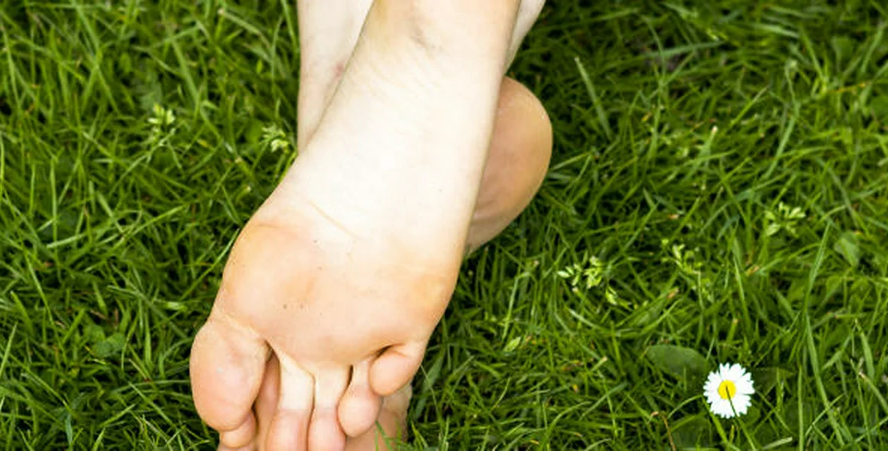 Barefoot Walking Trail Now Open In Prague