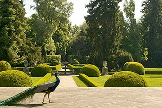 Discover Hidden Czech Gardens & More This Weekend