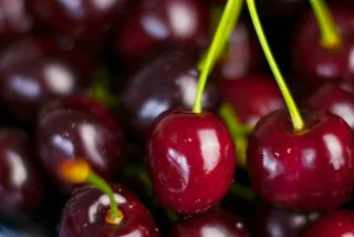 City Cherry Orchards Ripe for Harvest in July