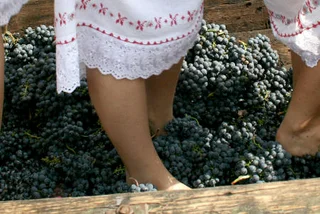 Moravian Winemaking Tradition Calls for Supple Lady Feet