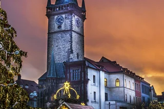 Christmas Tree Chosen for Prague’s Old Town Square