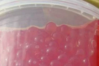 Czech Authorities Seize Illegal Bubble Tea Jelly Balls