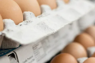 Polish Eggs Recalled in Czech Republic Due to Salmonella Threat