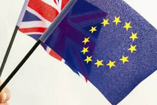 Britons Fight for Post-Brexit EU Citizenship