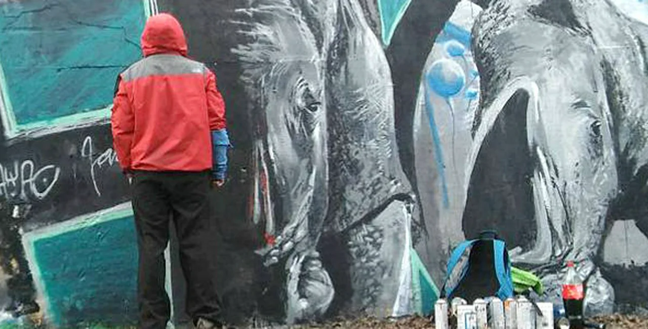 Prague Graffiti Artist Honors Slain African Rhino
