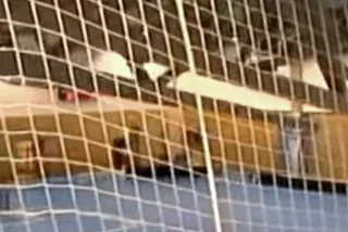 VIDEO: Czech Sport Hall Roof Collapse Captured