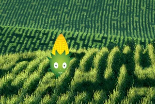 Czech Summer Craze: Corn Mazes Pop Up In Prague and Beyond