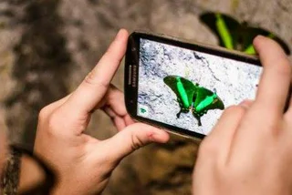 Prague’s Newest Attraction Will Give You Butterflies