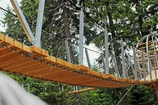 Zoom Down Giant Antler Slides for Free On New Czech Trail