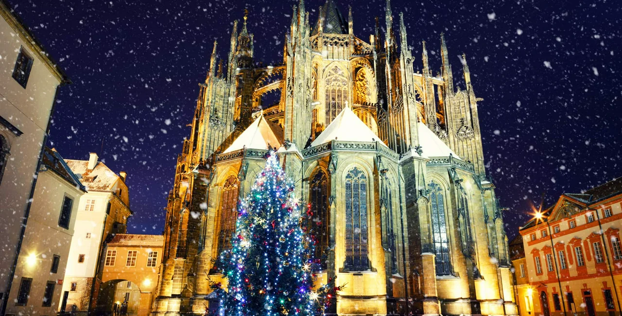 Prague is the world's cheapest city for buying a Christmas tree