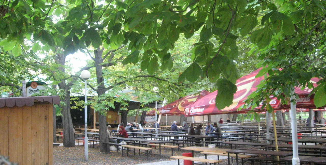 Beer garden at Riegrovy sady via Wikimedia / Dezidor