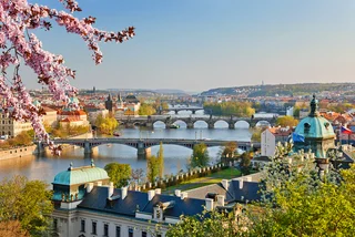 Spring has come to Prague this week, with temperatures up to 18° C