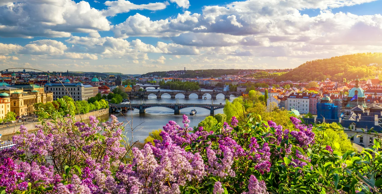 Prague's Vltava river and Old Town city center with colorful lilacs blooming from Letna park
