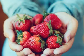 Where to buy or pick Prague's most luscious strawberries
