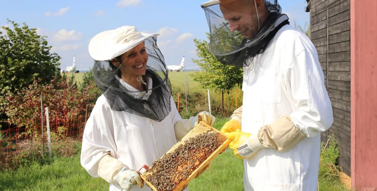 Beekeepers at Václav Havel Airport Prague. via Prague Airport