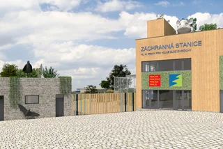 Prague’s animal rescue station will be completely modernized