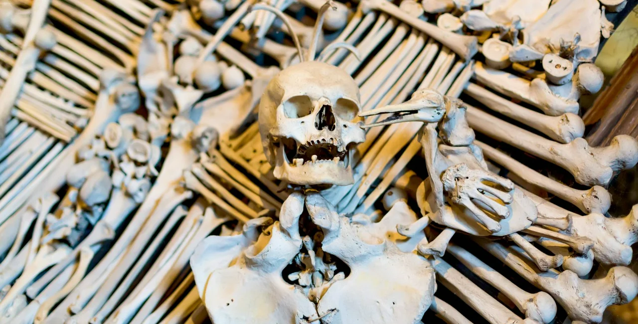 Human skull and bone decoration in Sedlec, Czech Republic