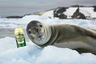 Czech beer is now being exported to Antarctica