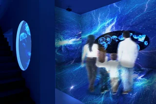 Medusa World jellyfish aquarium to spread its tentacles in Prague