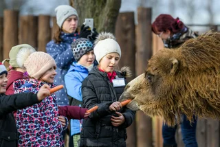 Prague Zoo will offer 1-CZK entry for kids tomorrow during the teachers’ strike