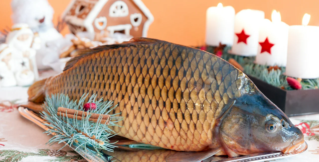 Traditional Czech Christmas carp table