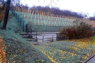Prague has a new vineyard on Vítkov Hill