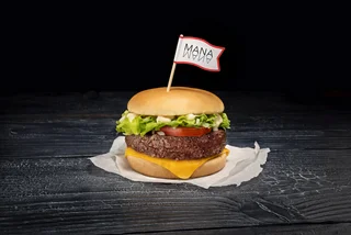 Revolutionary Czech-made veggie burger hits the local, US markets