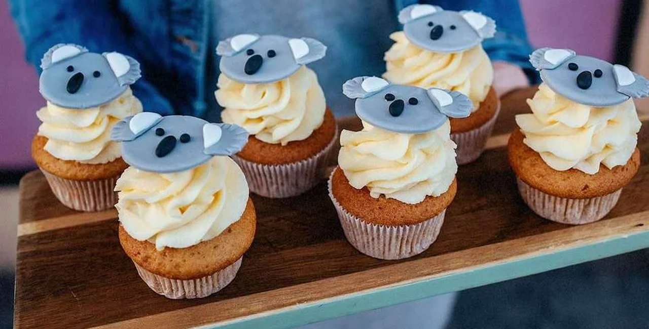 Koala cupcakes (via Facebook / @LelisCupcakes)