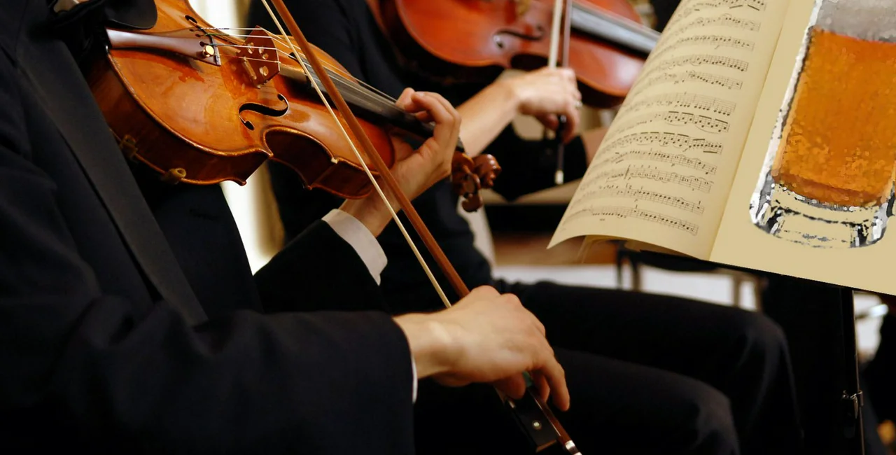 Violinist at classical music concert (illustrative image)