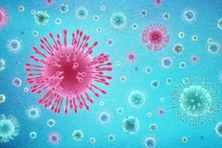 Despite scares, coronavirus still not confirmed in Czech Republic