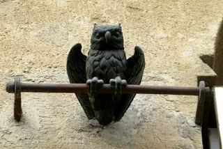Signal owl at Palác Platýz. via Raymond Johnston