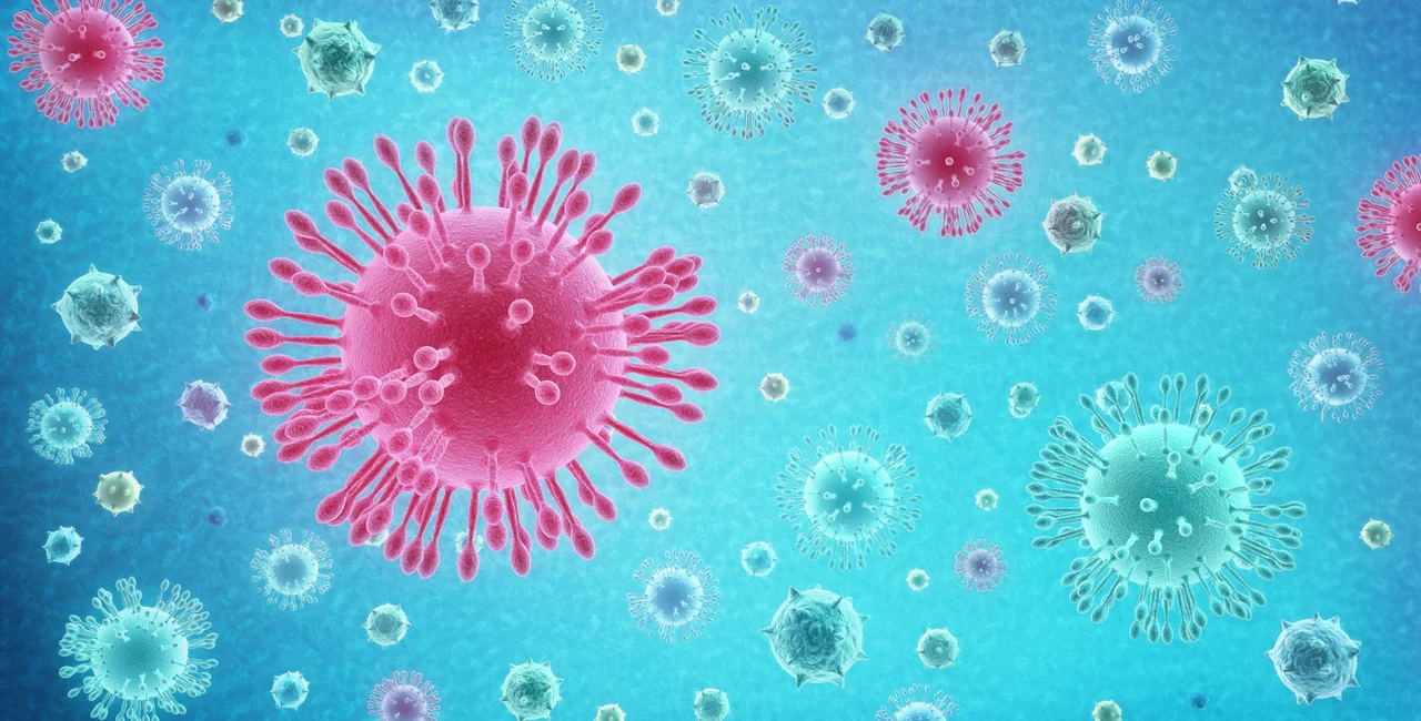 Conceptual illustration of the coronavirus as if it were observed from a microscope