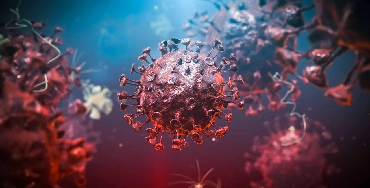 3D render of coronavirus via iStock / appledesign