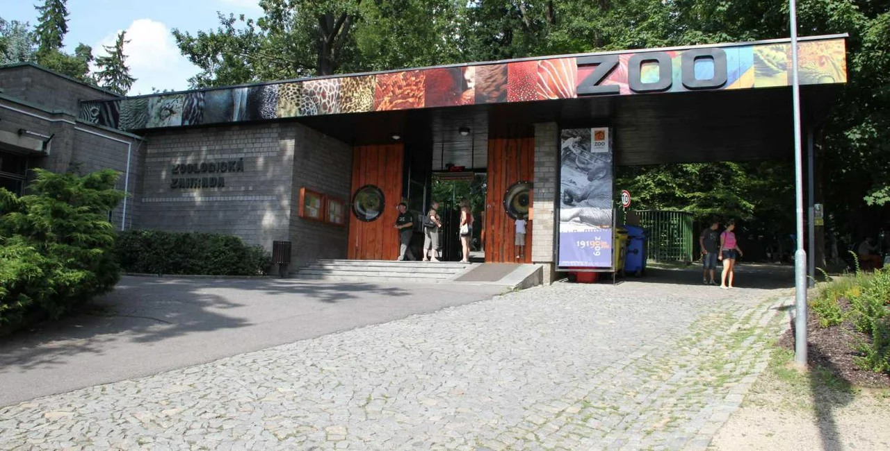 Zoo Liberec / Wikimedia commons 