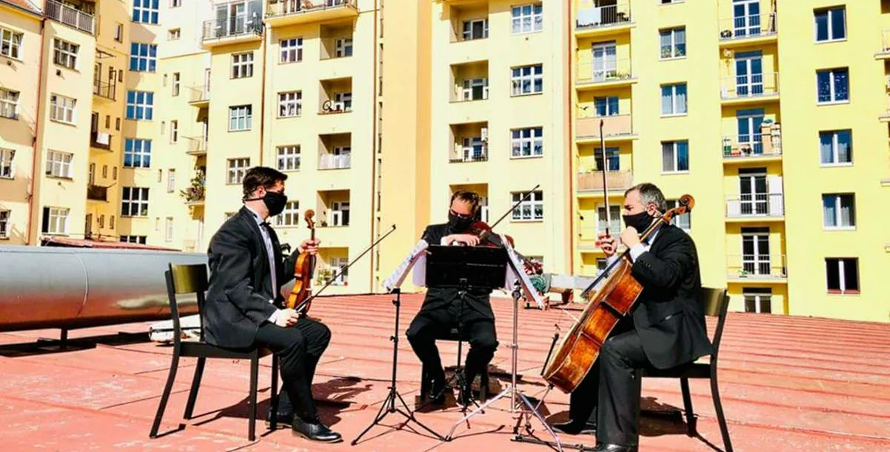 Amadeus String Trio / via Praha 3