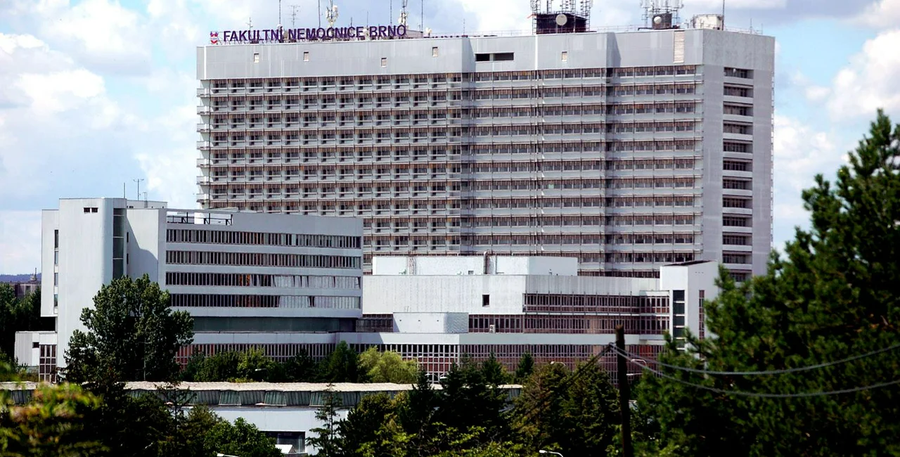 University Hospital Brno / via Wikimedia Commons