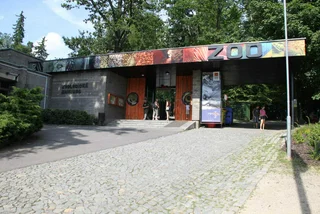Czech zoos call for an earlier reopening date, say they are similar to parks