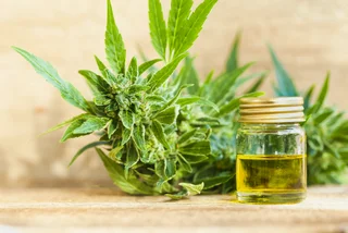 Interest in CBD oil on the rise as Czechs look for ways to cope with coronavirus anxiety