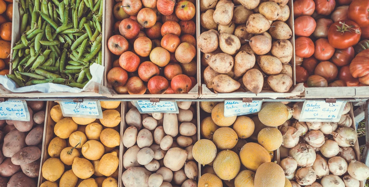 Image by <a href="https://pixabay.com/users/Pexels-2286921/?utm_source=link-attribution&amp;utm_medium=referral&amp;utm_campaign=image&amp;utm_content=1834416">Pexels</a> from <a href="https://pixabay.com/?utm_source=link-attribution&amp;utm_medium=referral&amp;utm_campaign=image&amp;utm_content=1834416">Pixabay</a>