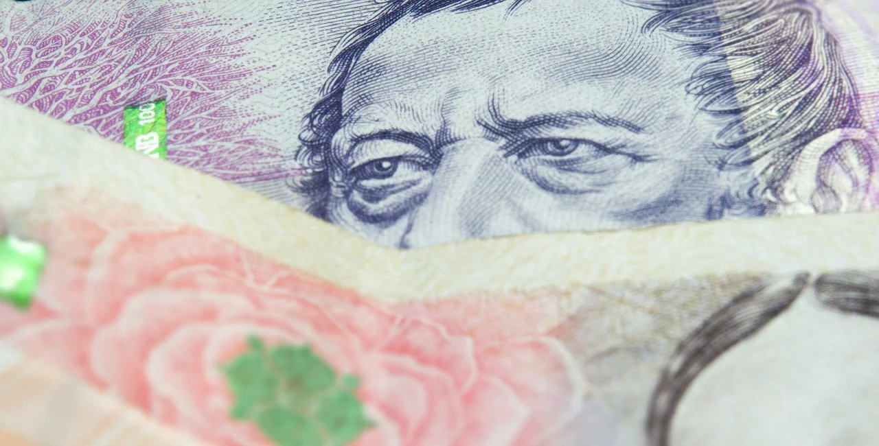 Image by <a href="https://pixabay.com/users/vjkombajn-764634/?utm_source=link-attribution&amp;utm_medium=referral&amp;utm_campaign=image&amp;utm_content=3536347">Miloslav Hamřík</a> from <a href="https://pixabay.com/?utm_source=link-attribution&amp;utm_medium=referral&amp;utm_campaign=image&amp;utm_content=3536347">Pixabay</a>