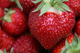 Strawberry season: where to find the best Czech strawberries around Prague