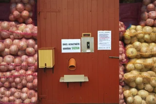 Fresh Czech-grown potato vending machine pops up in the Klatovy region near Šumava