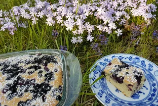 In the Czech kitchen: Bublanina, a summertime berry sponge cake
