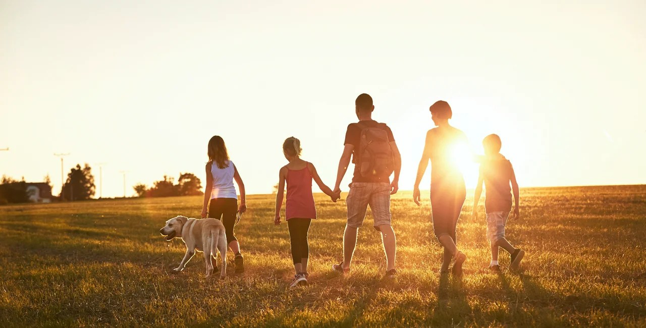Silhouettes of family with dog walking on meadow at sunset. Photo: iStock/Chalabala