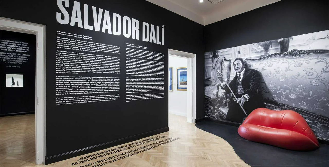 Entry to the Dalí exhibition / via Central Gallery, Johana Němečková