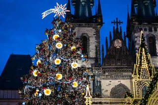 Prague's Old Town Christmas market canceled but the tree will shine on as a symbol of the season